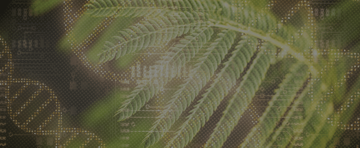 FUNCTIONAL NUTRITION