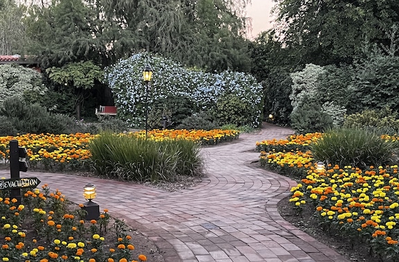 s-mccandless_speaking-services-third-photo